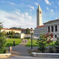 UC Berkeley glade