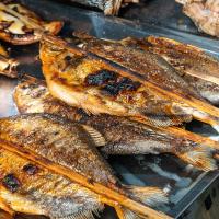 Grilled fish credit PsamatheM