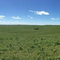 Emporia Kansas grassland. Wikimedia.